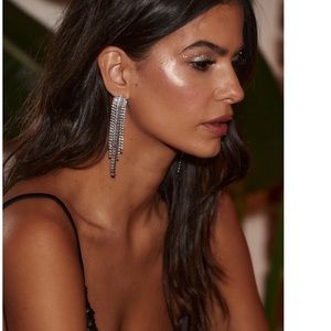 Silver Fringe Earrings